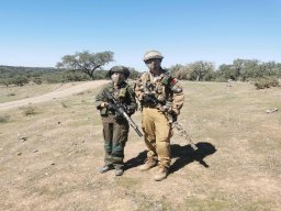 2023-09-29 SALAMANDRA II